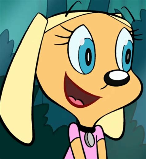 brandy & mr whiskers|top 10 brandies.